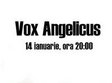 vox angelicus tribuna cafe