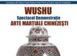 wushu spectacol demonstra ie de arte mar iale chineze ti