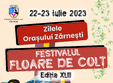 zilele ora ului zarnesti festivalul floare de col 22 23 iulie 