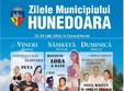 zilele orasului hunedoara 2016