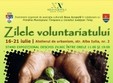 zilele voluntariatului