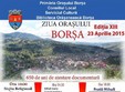 ziua orasului borsa