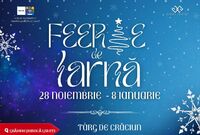 feerie de iarna edi ia a ii a gala i