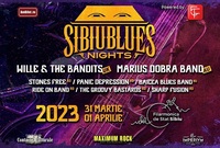 sibiu blues nights 2023