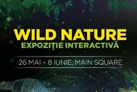 wild nature o expozi ie interactiva captivanta