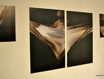 expozitie renee renard 2