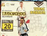 stagiul interna ional de taekwon do sibiu 2014 21