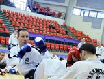 stagiul interna ional de taekwon do sibiu 2014 13