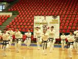 stagiul interna ional de taekwon do sibiu 2014 3